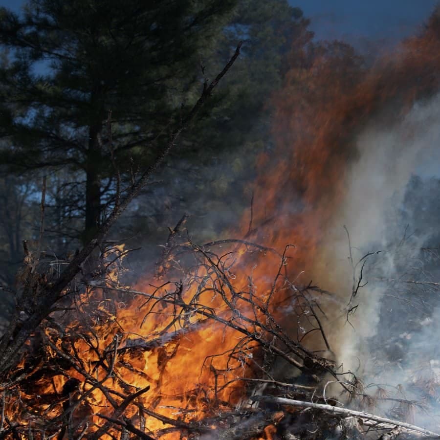 Dd burn permits 02