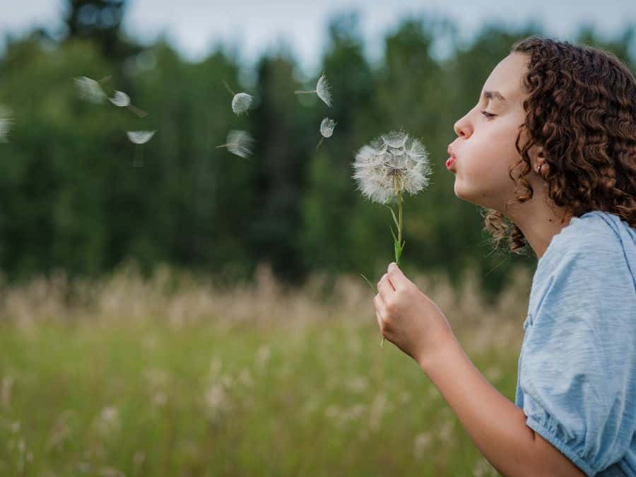 00 cover karen seinen make a wish