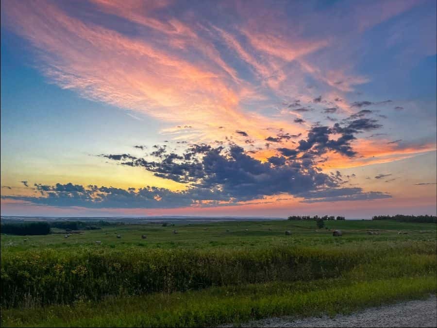 07 jul john vanderwell golden strands
