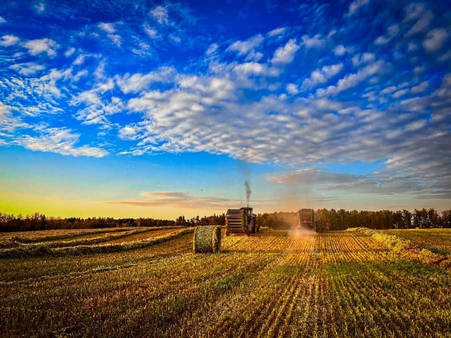 09 sep emily fyfe farming generations