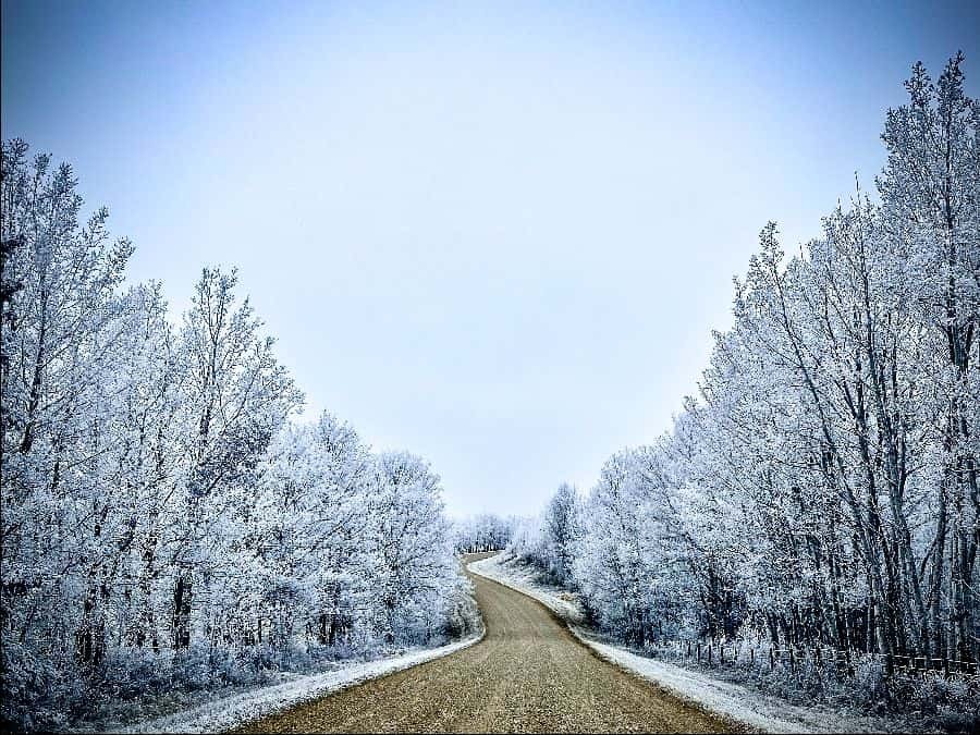 12 dec allison winchester frosty journey