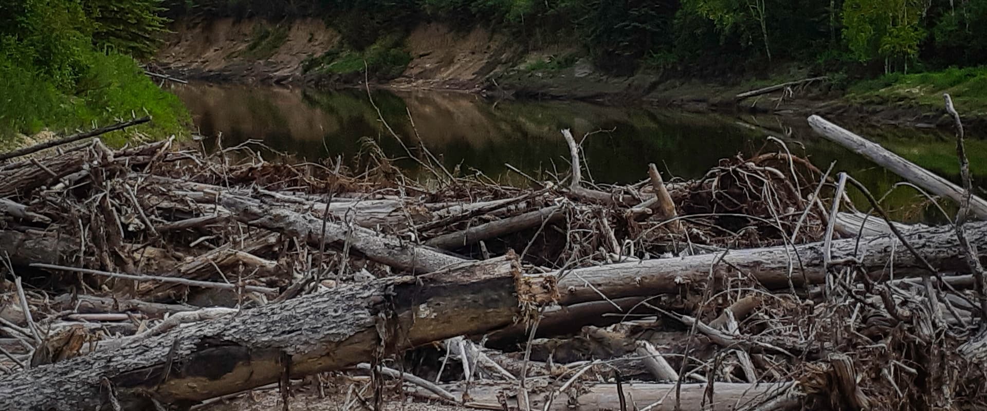 Header beaver dam 01