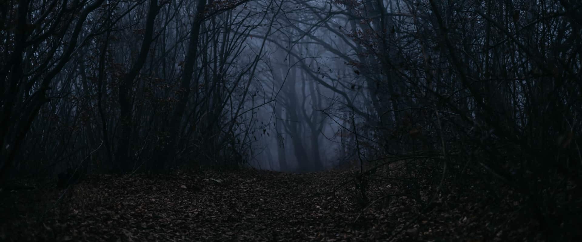 Header haunted forest 01
