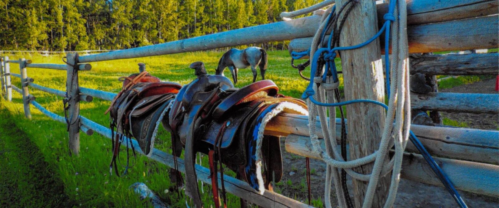 Property Taxes Lac Ste. Anne County