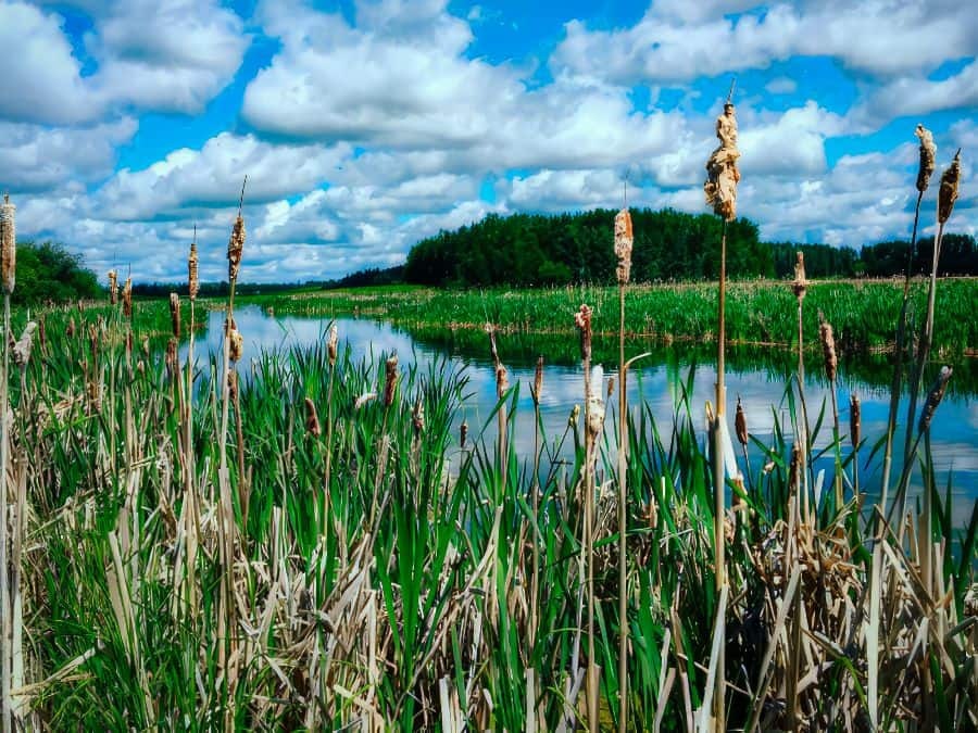 Ih darwell lagoon 04
