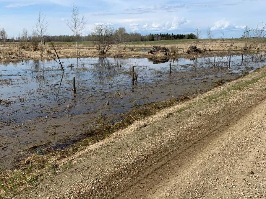 Ih flooded fenceline 01