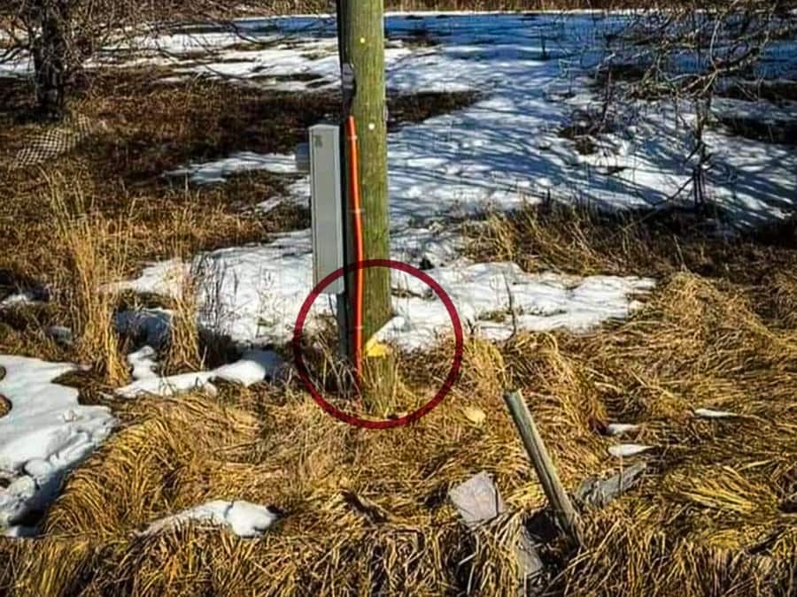 Ih tampered utility pole 01