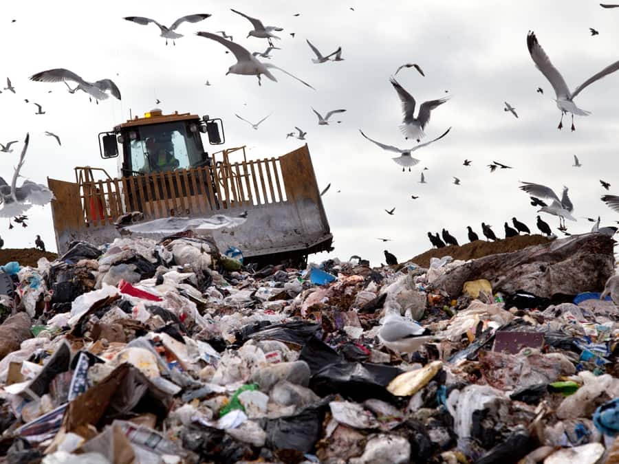 Accepted Waste & Recyclables Lac Ste. Anne County