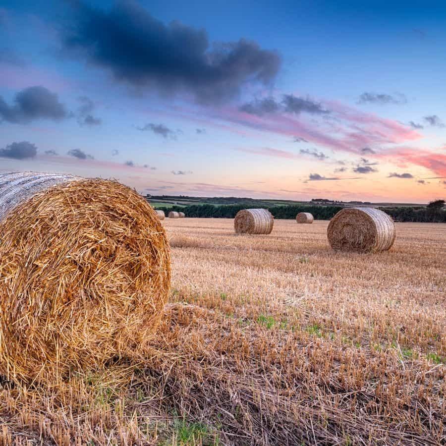Is hay bales 05